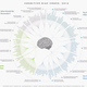 Cognitive bias codex